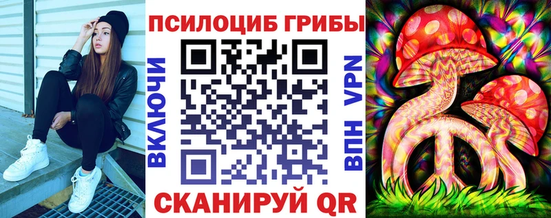 Псилоцибиновые грибы Cubensis  Нестеров 